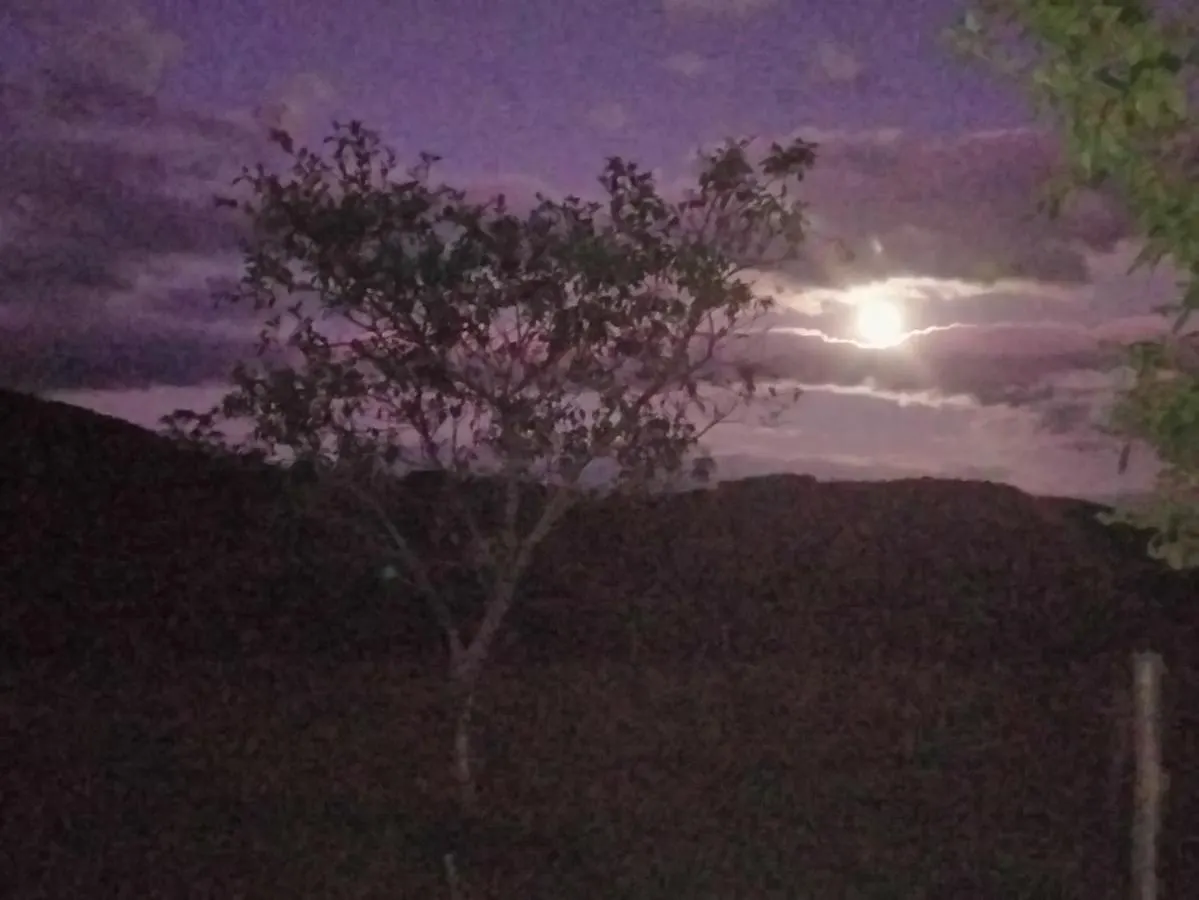 Tinyhousegarden - Silver Coin Praia Grande  Praia Grande (Santa Catarina)