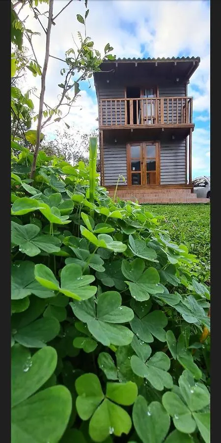 Tinyhousegarden - Silver Coin location